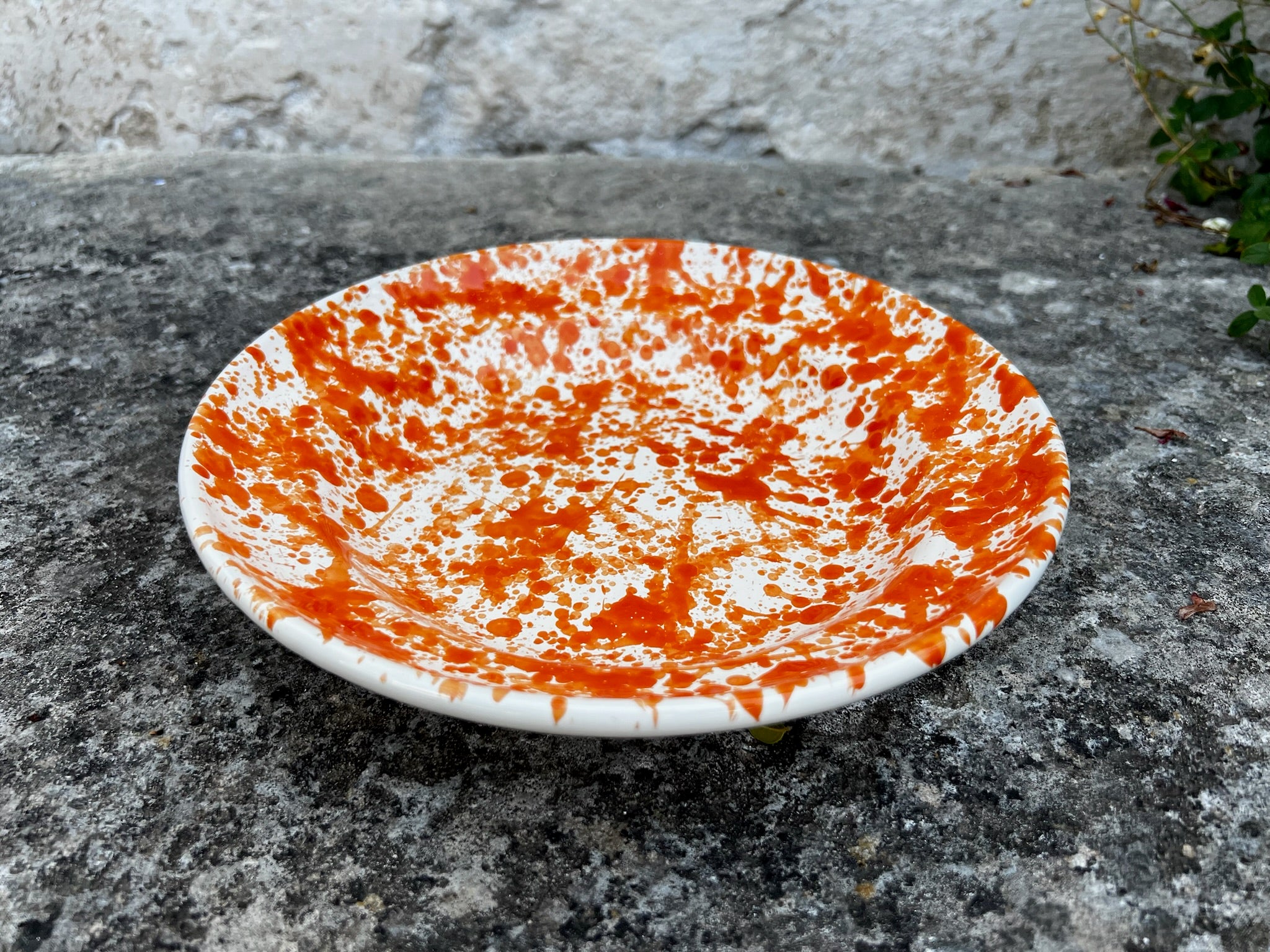 Piatto Fondo Schizzato